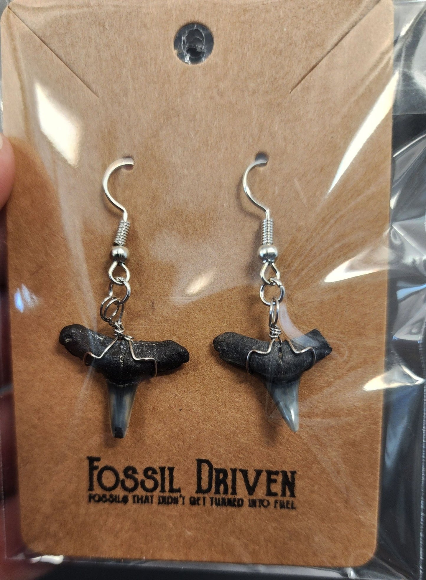 Authentic, Fossil Lemon Shark Tooth Earrings - Fossil Driven
