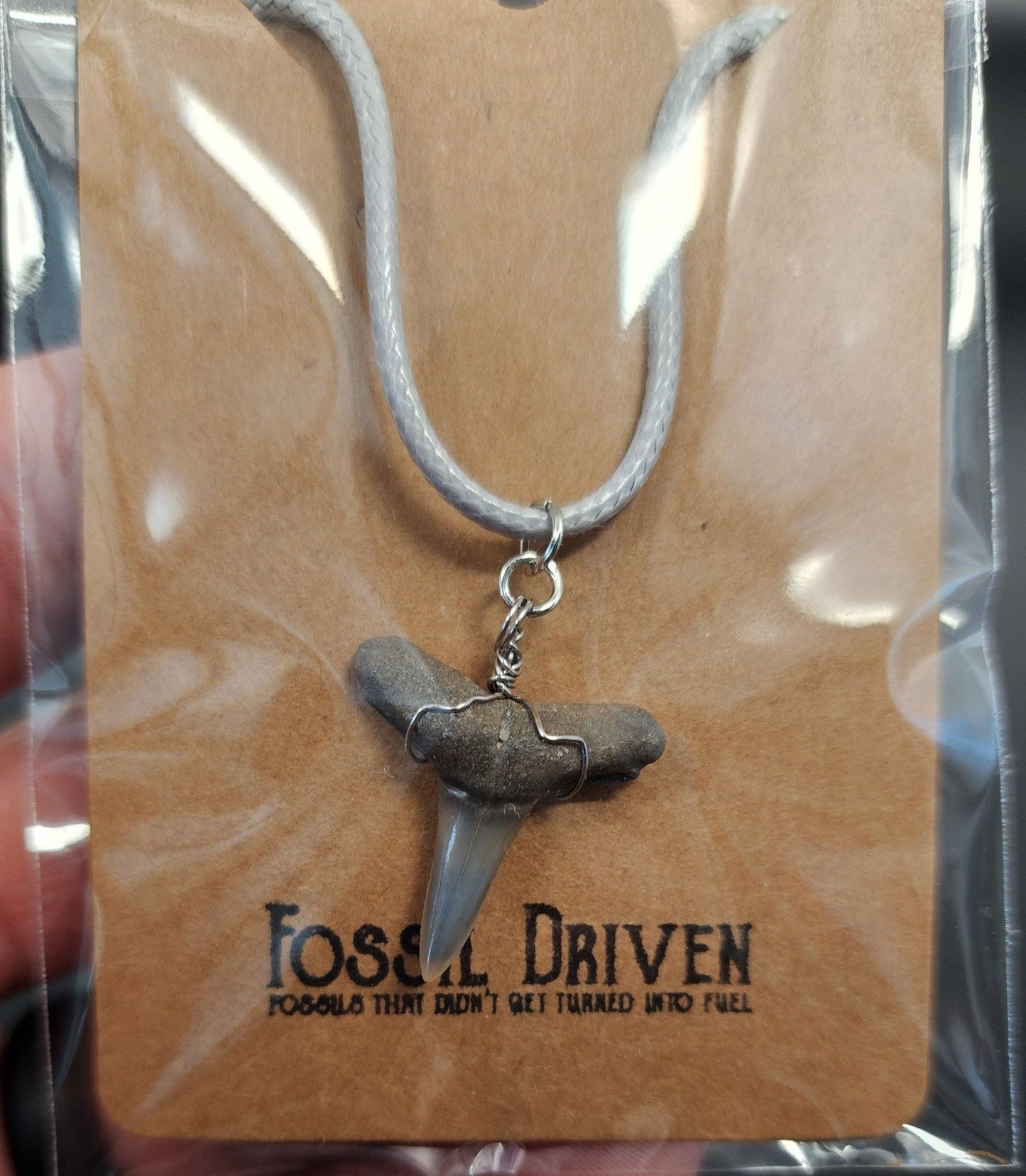 Authentic, Fossil Lemon Shark Tooth Necklace - Fossil Driven