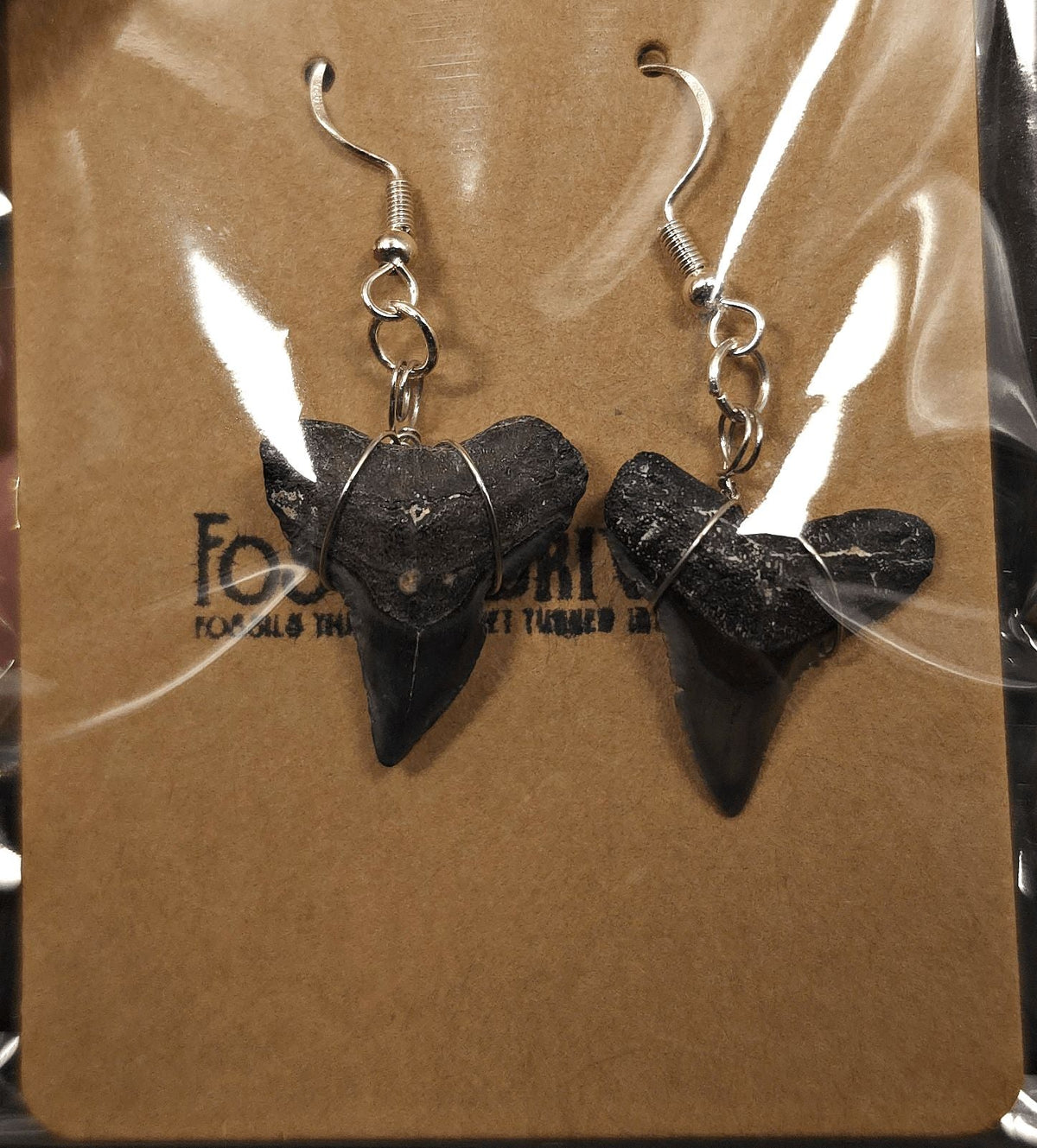 Authentic, Fossil Requiem Shark Tooth Earrings | Fossil Driven - Fossil Driven