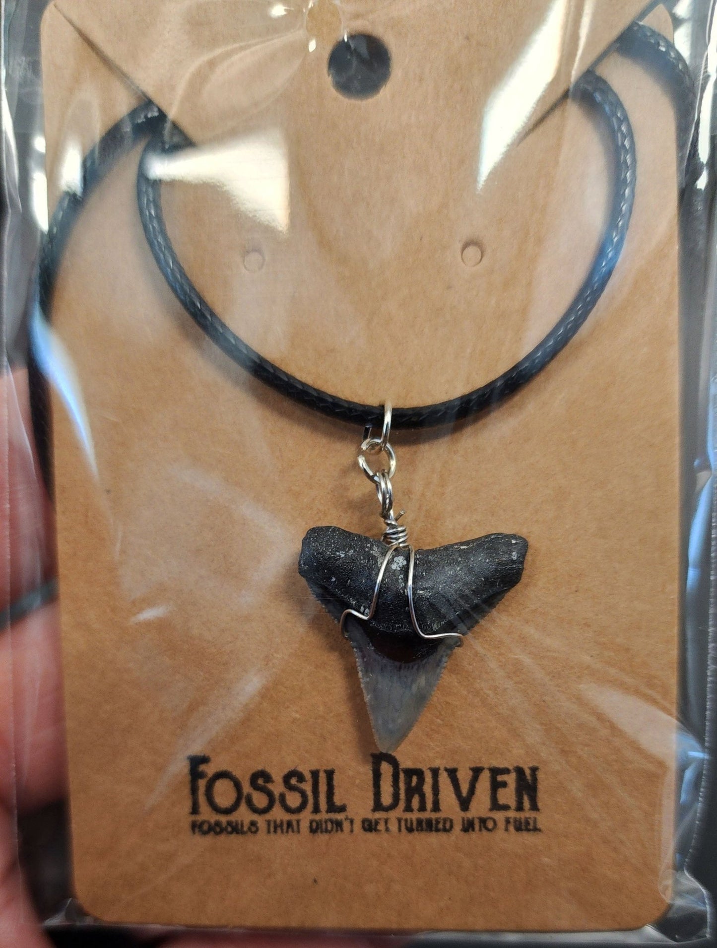 Authentic, Fossil Requiem Shark Tooth Necklace - Fossil Driven