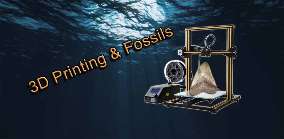 Exploring the Dual Impact of 3D Printing on Fossil Collecting