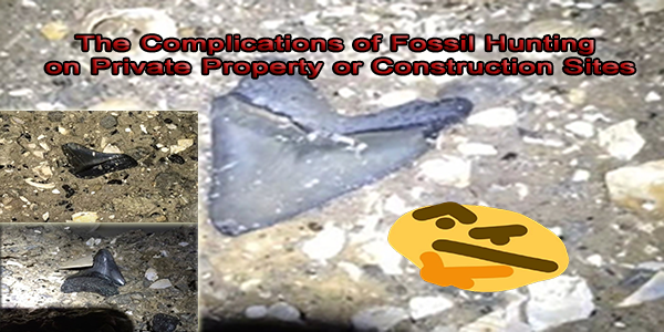 The Complications of Fossil Hunting on Private Property or Construction Sites