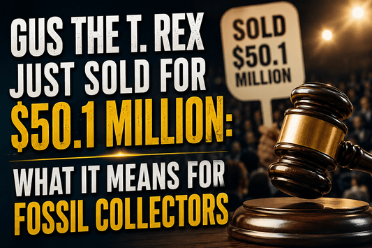 Gus the T. Rex Just Sold for $50.1 Million: What It Means for Fossil Collectors - Fossil Driven