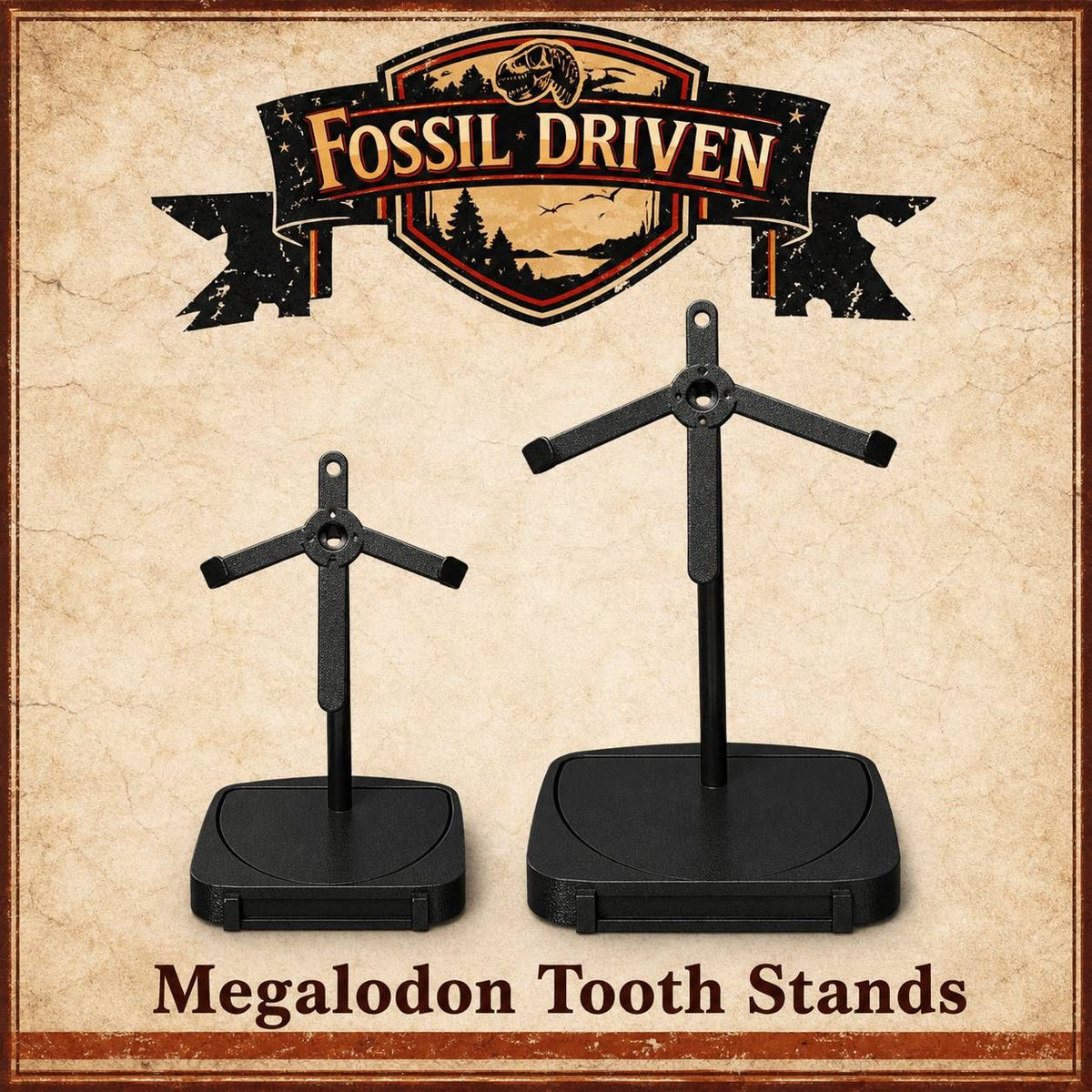 Megalodon Tooth Display Stands - Fossil Driven