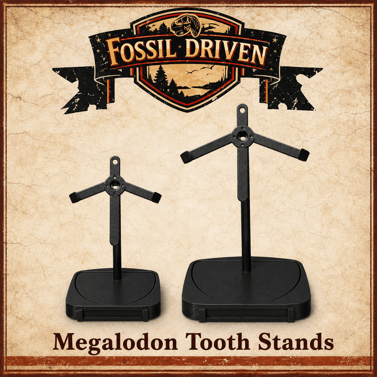 Megalodon Tooth Display Stands - Fossil Driven