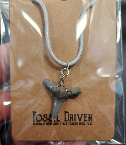 Authentic, Fossil Lemon Shark Tooth Necklace
