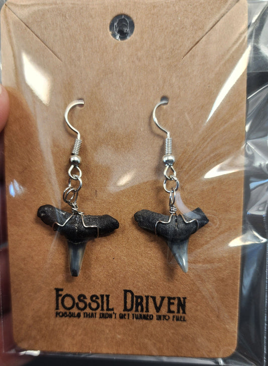 Authentic, Fossil Lemon Shark Tooth Earrings