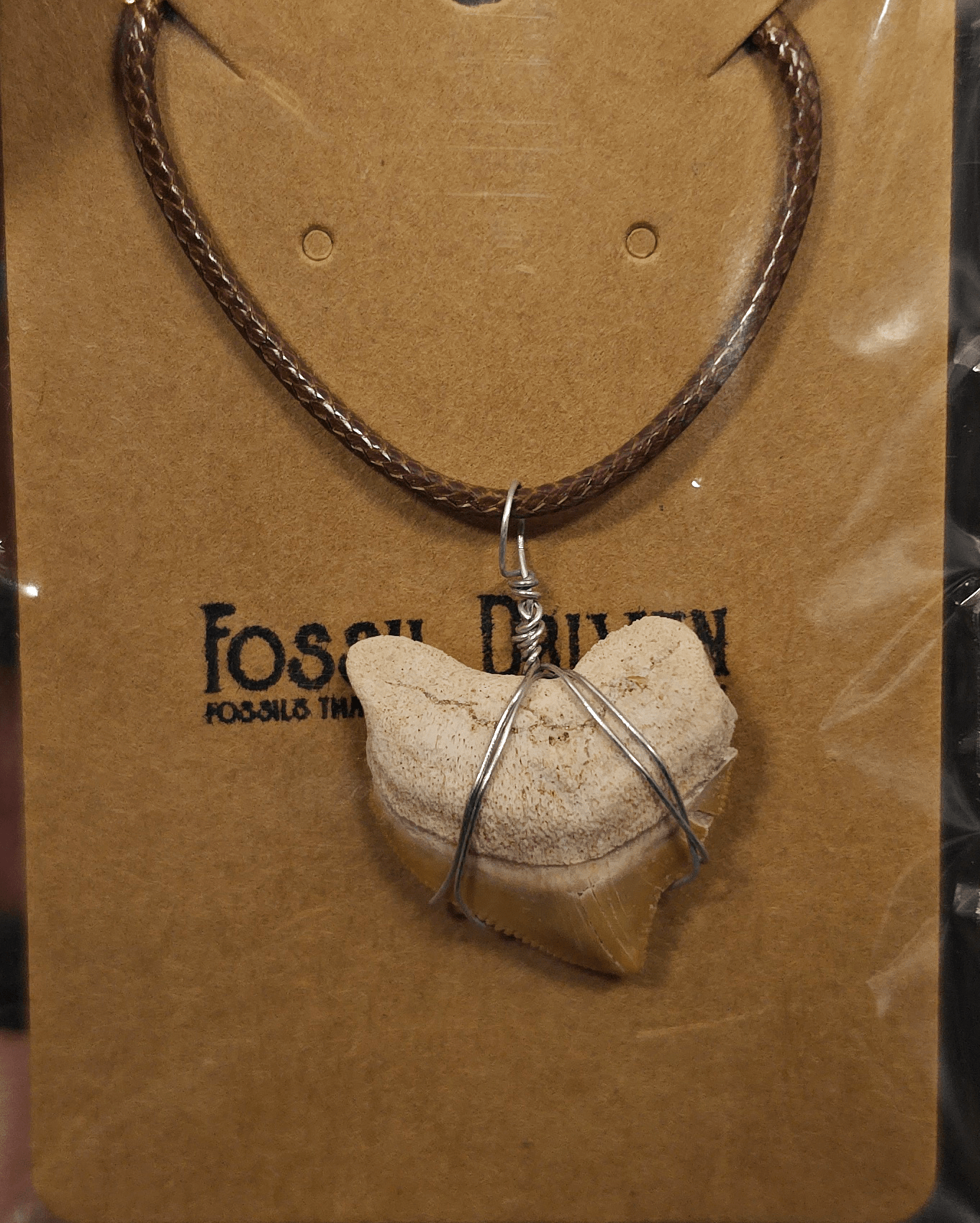 Authentic, Fossil Crow Shark Tooth Necklace | Fossil Driven - Fossil Driven