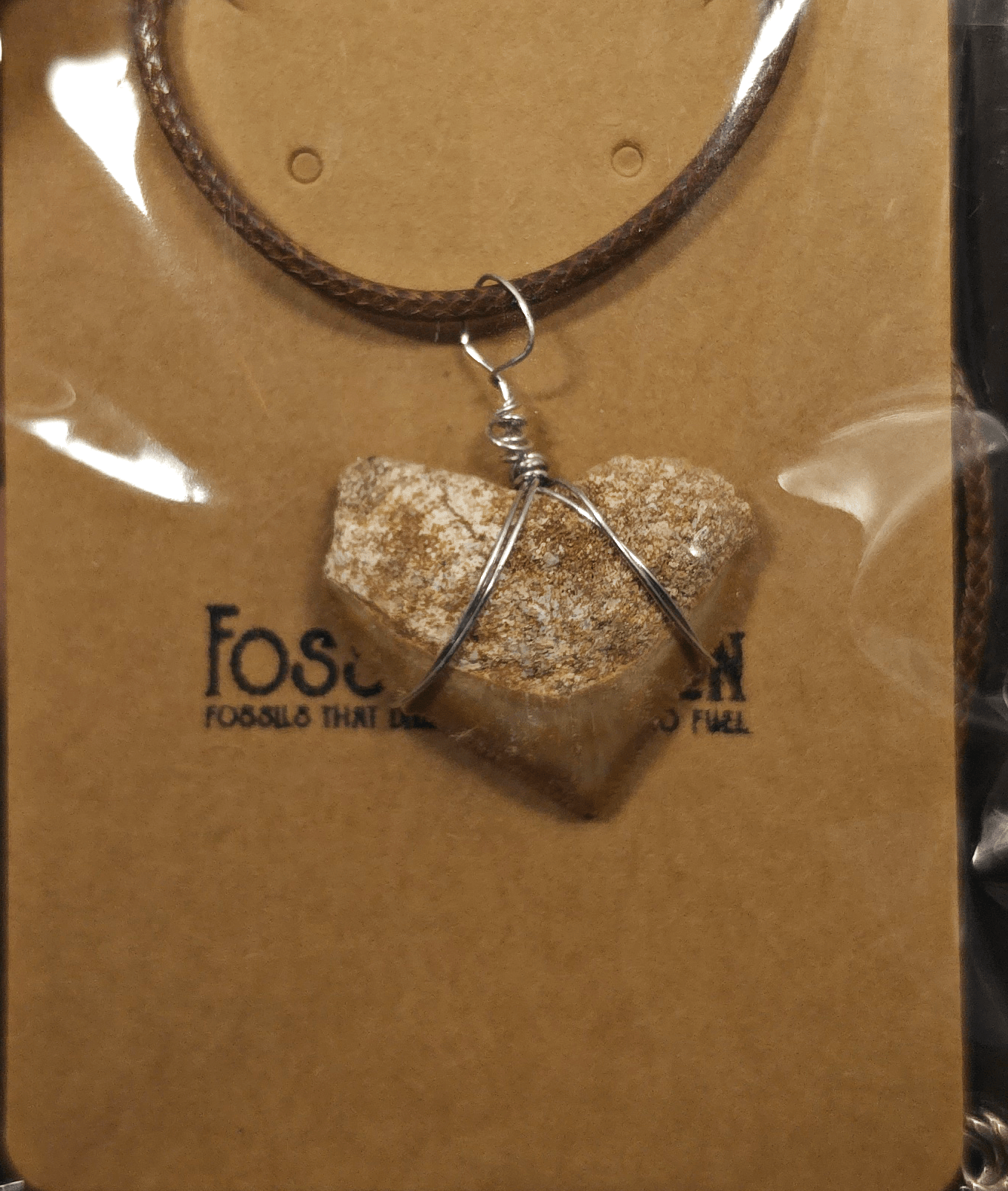 Authentic, Fossil Crow Shark Tooth Necklace | Fossil Driven - Fossil Driven