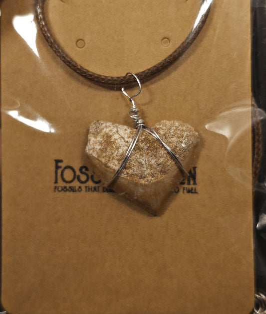 Authentic, Fossil Crow Shark Tooth Necklace | Fossil Driven (Necklace 29) - Fossil Driven