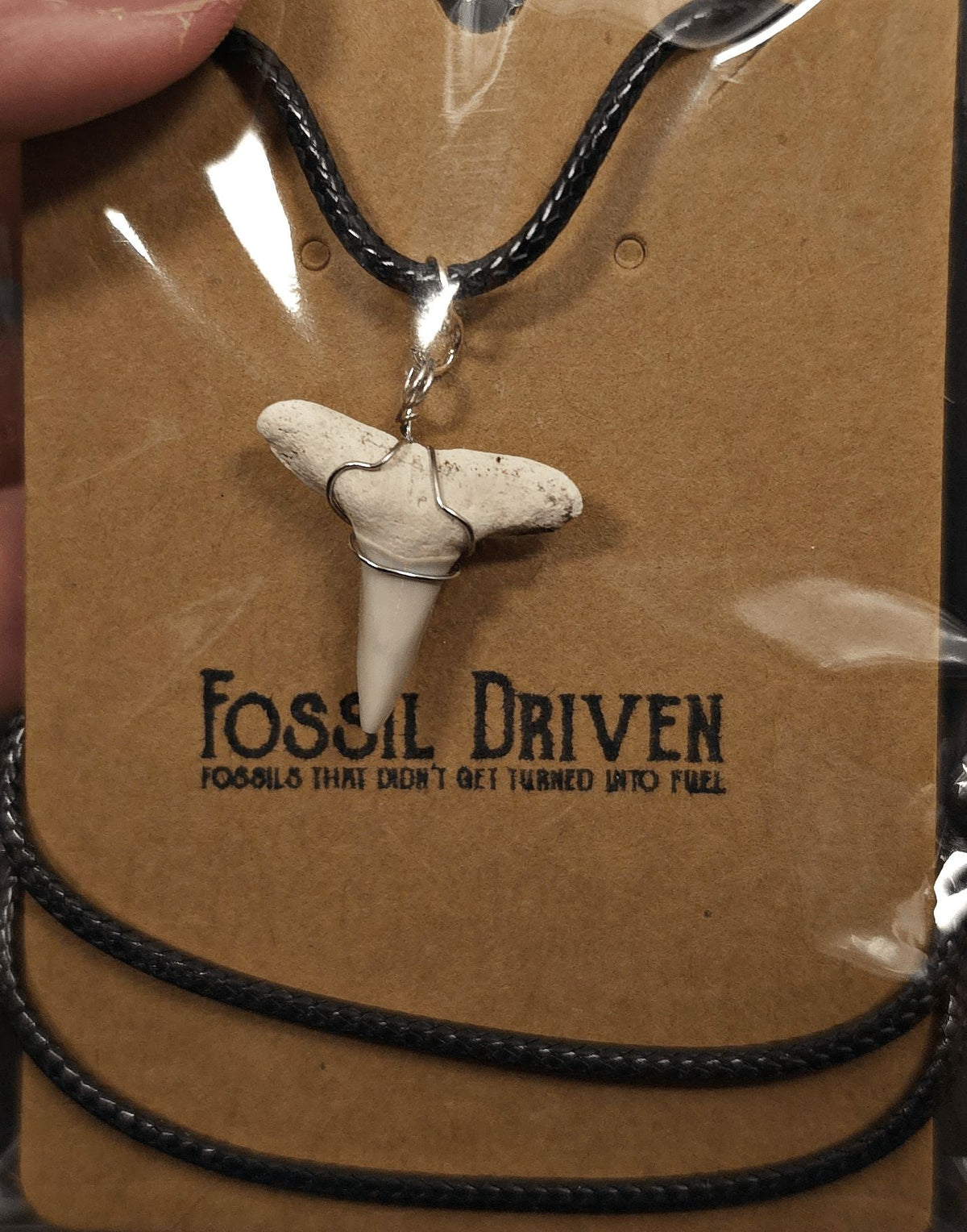 Authentic, Fossil Lemon Shark Tooth Necklace | Fossil Driven - Fossil Driven