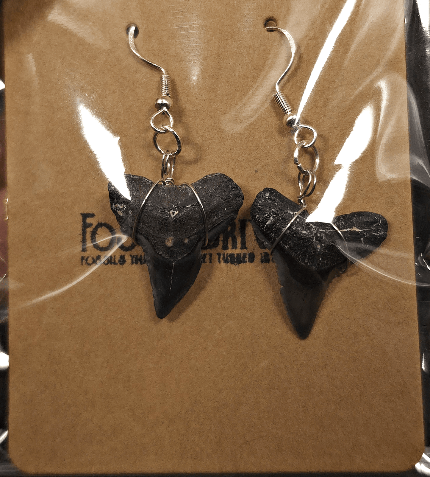 Authentic, Fossil Requiem Shark Tooth Earrings - Fossil Driven