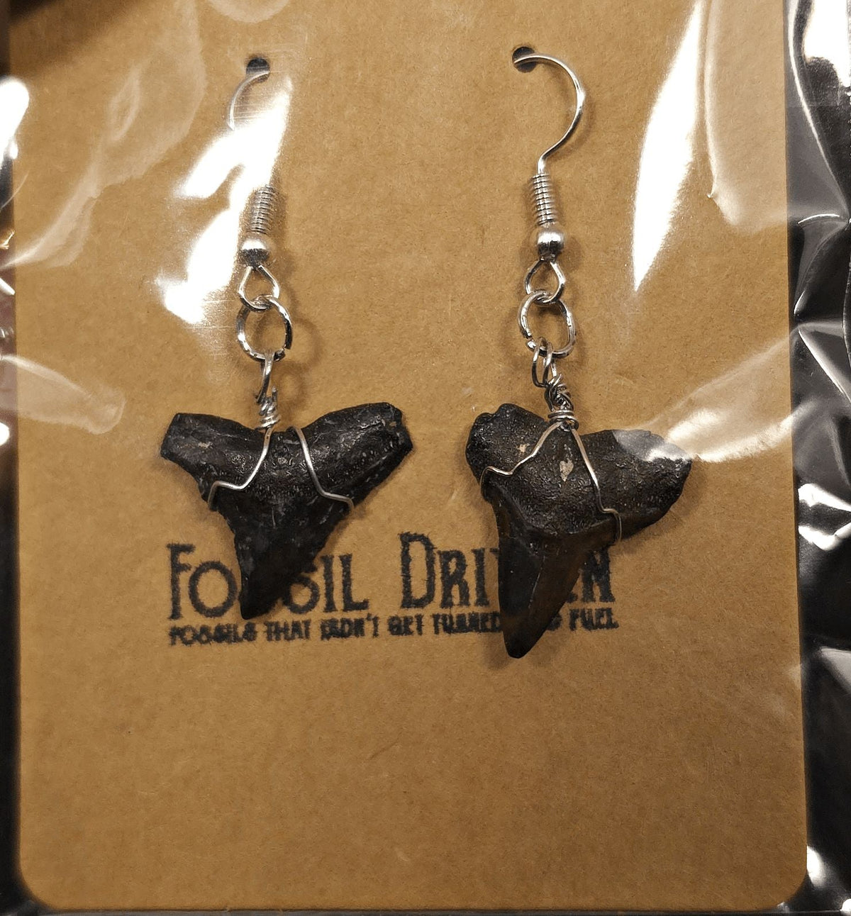 Authentic, Fossil Requiem Shark Tooth Earrings - Fossil Driven