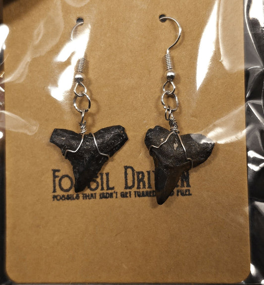Authentic, Fossil Requiem Shark Tooth Earrings - Fossil Driven