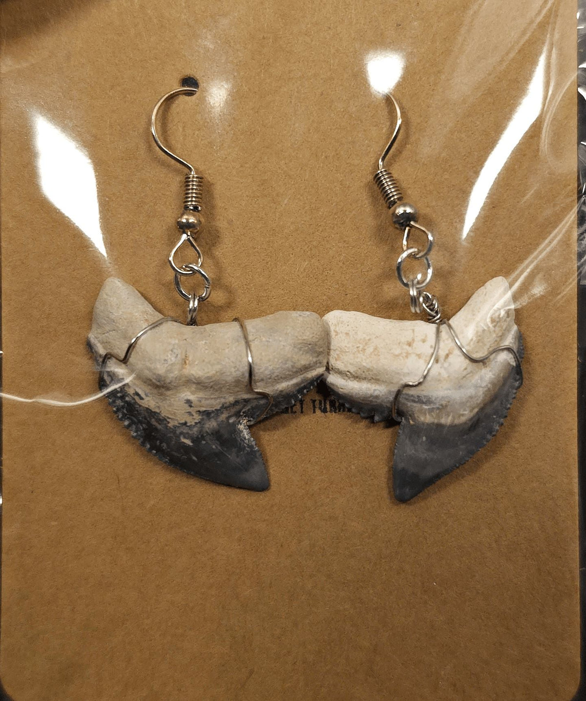 Authentic, Fossil Tiger Shark Tooth Earrings - Fossil Driven