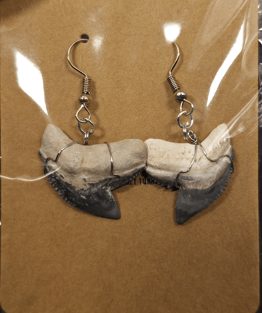 Authentic, Fossil Tiger Shark Tooth Earrings - Fossil Driven