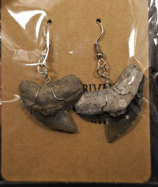 Authentic, Fossil Tiger Shark Tooth Earrings | Fossil Driven - Fossil Driven