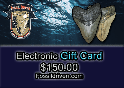 Fossil Driven Digital Gift Cards - Fossil Driven