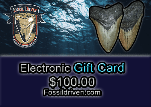Fossil Driven Digital Gift Cards - Fossil Driven