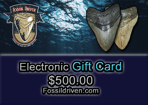 Fossil Driven Digital Gift Cards - Fossil Driven