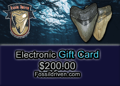 Fossil Driven Digital Gift Cards - Fossil Driven