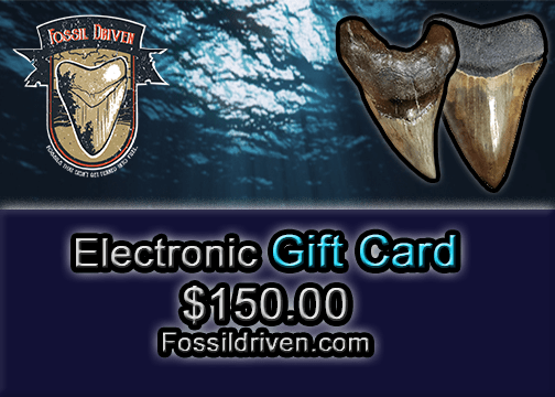 Fossil Driven Digital Gift Cards - Fossil Driven