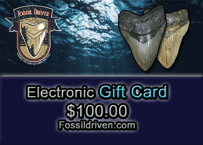 Fossil Driven Digital Gift Cards - Fossil Driven