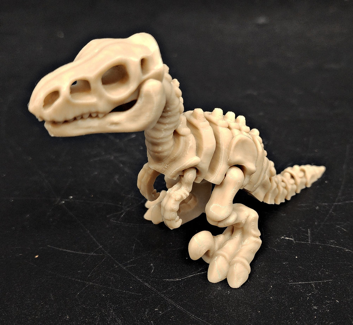 Skeleton Raptor Fidget Toy – Flexible 5" 3D Printed Dinosaur - Fossil Driven
