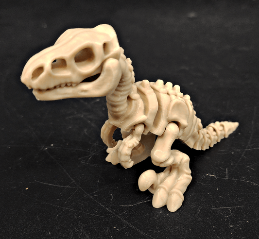Skeleton Raptor Fidget Toy – Flexible 5" 3D Printed Dinosaur - Fossil Driven